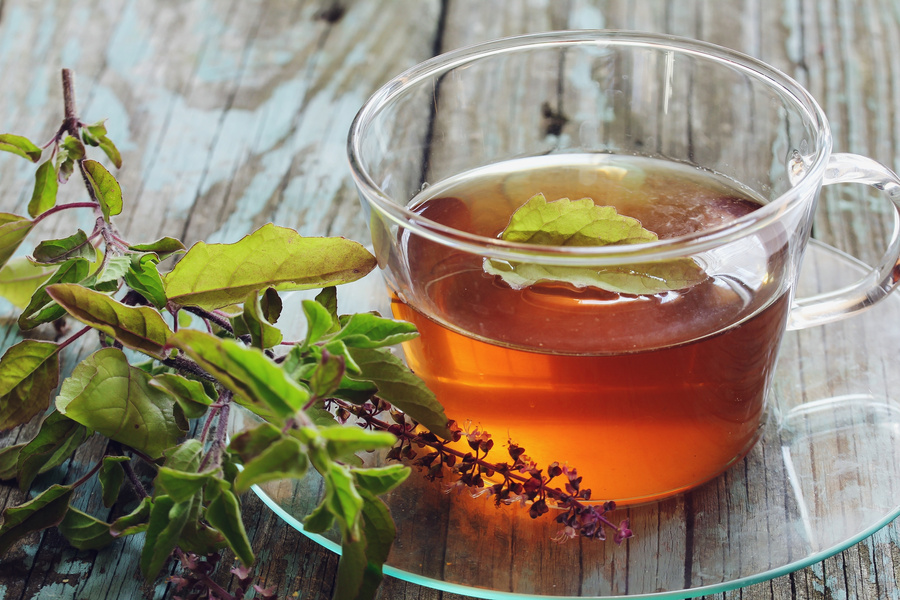 Tulsi Tea Served in a Cup with Fresh Leaves 